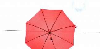 Small commercial underwriting is evolving faster than ever, and the brokers and MGAs who thrive are those who harness AI, data, and partnerships to make smarter, faster decisions. At a recent panel discussion, Sandeep Haridas, EVP and Insurance Business Head at IntellectAI, joined Hanh Lam of Simply Business, Jascha Prosiegel of MunichRe Specialty, and Clive Thompson of Guy Carpenter Insurtech Center of Excellence to explore how technology is reshaping the space.