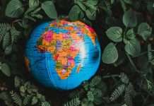 FSD Africa, a Nairobi-based organisation focused on building inclusive and resilient financial markets across the continent, has announced plans for a new Inclusive InsurTech Investment Fund (3iF) valued at between $25m and $30m.