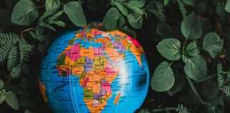 FSD Africa, a Nairobi-based organisation focused on building inclusive and resilient financial markets across the continent, has announced plans for a new Inclusive InsurTech Investment Fund (3iF) valued at between $25m and $30m.