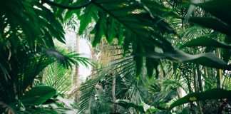 Prestige Underwriting, a specialist managing general agent, and Urban Jungle, a UK-based InsurTech, have announced a new partnership to deliver non-standard home insurance through Urban Jungle’s online platform.