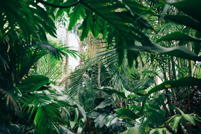 Prestige Underwriting, a specialist managing general agent, and Urban Jungle, a UK-based InsurTech, have announced a new partnership to deliver non-standard home insurance through Urban Jungle’s online platform.