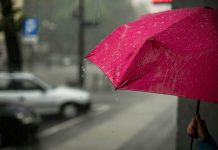 TCS expands Diligenta services for Aviva life and pensions TCS expands Diligenta services for Aviva life and pensions