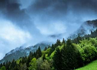 Climate change and European insurance balance sheets