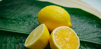 ZestyAI, the Risk and Decision Intelligence Platform for the insurance industry, has announced that its non-weather water risk model, Z-WATER™, has been reviewed and approved for underwriting and rating in Illinois, Indiana, Iowa, Louisiana and Wisconsin.