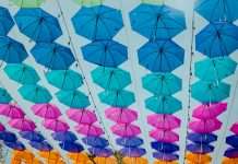 Wisedocs, an AI-powered medical record review and claims documentation platform with expert human oversight, has joined the Guidewire Insurtech Vanguards program, a curated community of InsurTechs helping property and casualty (P&C) insurers modernise and scale their operations.