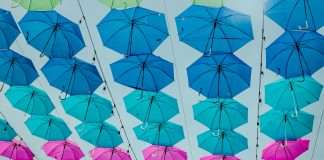 Wisedocs, an AI-powered medical record review and claims documentation platform with expert human oversight, has joined the Guidewire Insurtech Vanguards program, a curated community of InsurTechs helping property and casualty (P&C) insurers modernise and scale their operations.