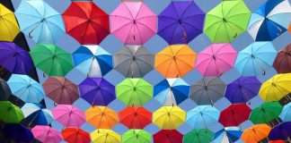 Insurance distribution management has grown more complex as carriers, MGAs and agencies navigate multiple state regulations and expanding producer networks. Agentero has compiled a detailed comparison of leading platforms to help organisations streamline licensing, appointments and compliance, while accelerating growth.