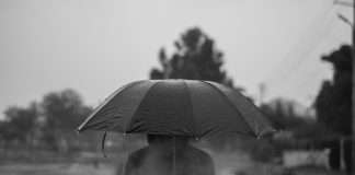 Techficient has unveiled Surefire, a new end-to-end life insurance underwriting platform designed to simplify underwriting, cut costs, and improve business quality for carriers.