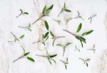 NJ-based InsurTech SageSure appoints new sales leader SageSure, one of the largest managing general underwriters in the US focused on catastrophe-exposed markets, has appointed John Sence as its new chief sales officer.