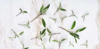 SageSure, one of the largest managing general underwriters in the US focused on catastrophe-exposed markets, has appointed John Sence as its new chief sales officer.