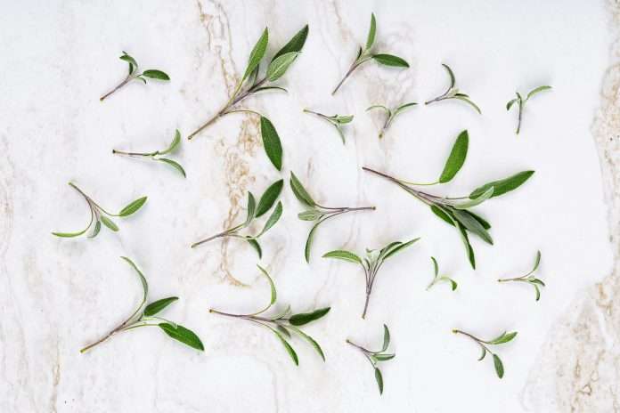 SageSure, one of the largest managing general underwriters in the US focused on catastrophe-exposed markets, has appointed John Sence as its new chief sales officer.