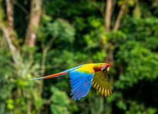 Cytora embeds open-source intelligence to reduce claims leakage