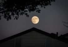 mea Platform and Moonrock join forces to modernise MGA operations mea Platform, a fast-scaling (re)insurance AI product company, and Moonrock Insurance, a specialist drone insurance managing general agent (MGA), have entered into a partnership aimed at implementing mea Operations as an AI-first operating platform across Moonrock’s business.