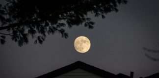 mea Platform, a fast-scaling (re)insurance AI product company, and Moonrock Insurance, a specialist drone insurance managing general agent (MGA), have entered into a partnership aimed at implementing mea Operations as an AI-first operating platform across Moonrock’s business.