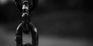 Global broking business Brokerslink, a worldwide network supporting insurance and reinsurance brokers, has strengthened its international ecosystem with the addition of Vantel, a Sweden-based specialist insurance technology company focused on AI-powered transformation for commercial insurance brokers.