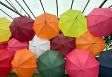 Ardonagh Europe unveils pan-European MGA Orvia Ardonagh Europe, a large insurance distribution and underwriting group, has announced the launch of Orvia Underwriting, a new pan-European Managing General Agent (MGA) platform.