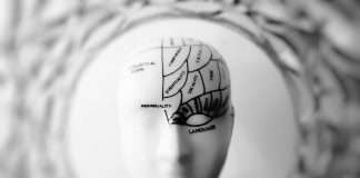 The expectation for insurance has changed. Paper forms, manual approvals, and siloed spreadsheets now feel as archaic as dial-up phones. In their place, customers and businesses alike demand speed, foresight, and a touch of intuition; systems that don’t just respond but anticipate. In 2026, the insurance industry is no longer just digital; it is smarter, more agile, and more connected than ever before.