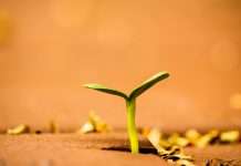 Sproutr unveils new service to boost insurance programme delivery Sproutr, an insurance programme architect, has launched Program Placement Services to streamline carrier placement and accelerate insurance programme launches, expanding its capabilities to support programmes from early-stage design through to market entry.