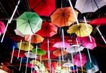 SCOR, a global reinsurer, has expanded its partnership with Baobab Insurance, a German digital risks managing general agent (MGA) specialising in cyber insurance, by extending underwriting capacity to significantly larger companies in Germany and Austria.