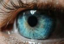 LexisNexis Risk Solutions, a global data analytics company, has announced the availability of LexisNexis IDVerse for Insurance, a new AI-powered document authentication and identity verification solution.