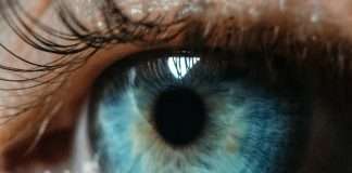 LexisNexis Risk Solutions, a global data analytics company, has announced the availability of LexisNexis IDVerse for Insurance, a new AI-powered document authentication and identity verification solution.