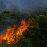 Delos Insurance Solutions, a property insurance managing general agent, and InnSure, a nonprofit innovation hub dedicated to developing insurance solutions for climate-driven risks, have announced a strategic partnership aimed at improving education, resilience and insurance affordability in wildfire-exposed communities.