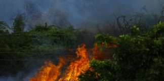 Delos Insurance Solutions, a property insurance managing general agent, and InnSure, a nonprofit innovation hub dedicated to developing insurance solutions for climate-driven risks, have announced a strategic partnership aimed at improving education, resilience and insurance affordability in wildfire-exposed communities.