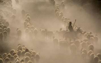 Admiral Group, a UK-based motor and household insurer, has agreed to acquire Flock, a digital commercial fleet InsurTech specialising in telemetry-led risk assessment, in a transaction that values Flock’s equity at £80m and remains subject to regulatory approval.