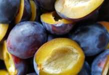 Plum secures ₹193cr ($20.6m) to reach 10 million employees