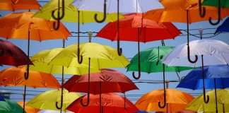 Testudo adds Atrium and QBE to AI liability panel Lloyd’s coverholder Testudo has secured additional underwriting support from insurers Atrium and QBE for its generative AI liability insurance product.