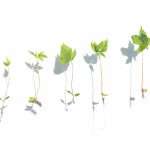 The rapid expansion of AI-driven actuarial platforms is forcing InsurTech firms to rethink how they operate internally. As companies scale across markets, adding customers, products and teams in different geographies, operational complexity increases quickly. Data visibility, coordination between offices and the integration of new technologies all become critical factors in maintaining momentum.