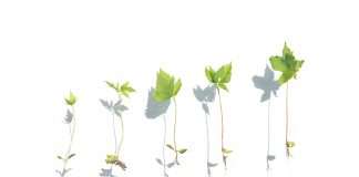 The rapid expansion of AI-driven actuarial platforms is forcing InsurTech firms to rethink how they operate internally. As companies scale across markets, adding customers, products and teams in different geographies, operational complexity increases quickly. Data visibility, coordination between offices and the integration of new technologies all become critical factors in maintaining momentum.