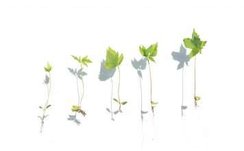 Scaling Akur8: how the firm is building for global growth The rapid expansion of AI-driven actuarial platforms is forcing InsurTech firms to rethink how they operate internally. As companies scale across markets, adding customers, products and teams in different geographies, operational complexity increases quickly. Data visibility, coordination between offices and the integration of new technologies all become critical factors in maintaining momentum.