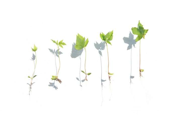 The rapid expansion of AI-driven actuarial platforms is forcing InsurTech firms to rethink how they operate internally. As companies scale across markets, adding customers, products and teams in different geographies, operational complexity increases quickly. Data visibility, coordination between offices and the integration of new technologies all become critical factors in maintaining momentum. The rapid expansion of AI-driven actuarial platforms is forcing InsurTech firms to rethink how they operate internally. As companies scale across markets, adding customers, products and teams in different geographies, operational complexity increases quickly. Data visibility, coordination between offices and the integration of new technologies all become critical factors in maintaining momentum.