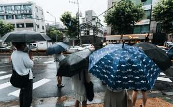 WTW revamps EMEA insurance consulting structure WTW has announced a restructuring of its Insurance Consulting and Technology operations in EMEA, creating dedicated property and casualty (P&C) and life businesses to strengthen expertise and accelerate innovation.