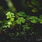 Embedded insurance platform Kayna has raised €1.5m ($1.7m) in a seed funding round to support expansion in the UK and US markets.