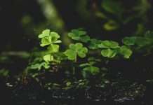 Kayna raises $1.7m seed for embedded insurance Embedded insurance platform Kayna has raised €1.5m ($1.7m) in a seed funding round to support expansion in the UK and US markets.