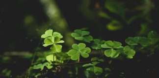 Embedded insurance platform Kayna has raised €1.5m ($1.7m) in a seed funding round to support expansion in the UK and US markets.