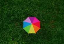 QBE AND Aurora roll out end-to-end algorithmic underwriting QBE, a global insurer, has partnered with Aurora to launch a fully automated lead algorithmic underwriting capability for complex specialty risks, now live within its Yacht Protection & Indemnity product.