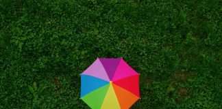 QBE, a global insurer, has partnered with Aurora to launch a fully automated lead algorithmic underwriting capability for complex specialty risks, now live within its Yacht Protection & Indemnity product.