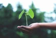 Openly, a tech-enabled homeowners insurance provider, has secured a growth investment round led by existing investors Eden Global Partners, Advance Venture Partners and Gradient, with strategic participation from Allianz X.