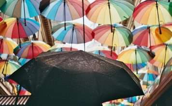 Canopy Connect has launched a new sharing path feature for its Insurance Intake Platform, designed to give insurance prospects more flexibility in how they share their insurance information.