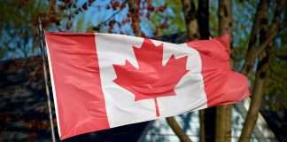 Markel Insurance, the insurance division of Markel Group Inc., has launched PlayMicro in Canada via its digital platform Markel Connect, a broker-focused portal for specialty insurance solutions.