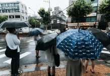 Labaid InsureTech Company Limited, a Bangladesh-based InsurTech firm, has launched a digital insurance platform aimed at expanding access to insurance services across the country.