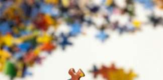 Brokerslink, a global insurance broking network, has added Vantel, a Sweden-based InsurTech, as a specialist affiliate.