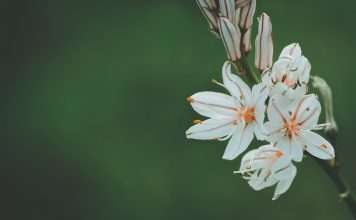 Zinnia, a life and annuity technology company, has unveiled a fully digitised in-force annuity servicing capability aimed at eliminating paper-based processes from post-issue transaction management.