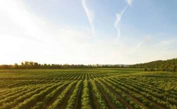 Real-time crop intelligence lands in Cytora platform