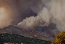 Windward taps ZestyAI for California wildfire risk
