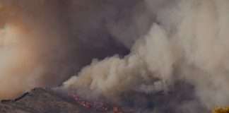 Windward taps ZestyAI for California wildfire risk
