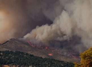 Windward taps ZestyAI for California wildfire risk